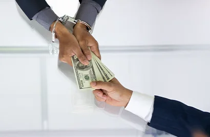 Fraud & White-Collar Crime